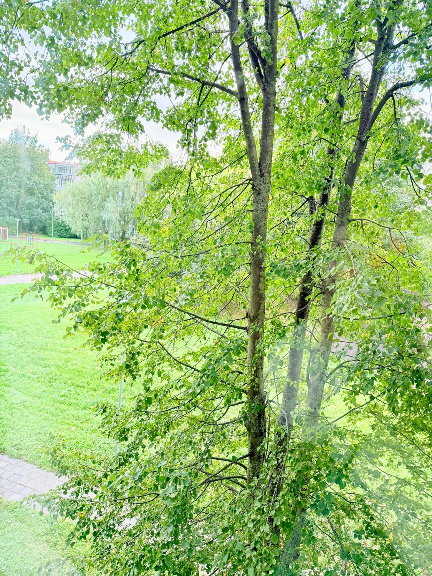 Baltijos Apartamentai * Klaipėda